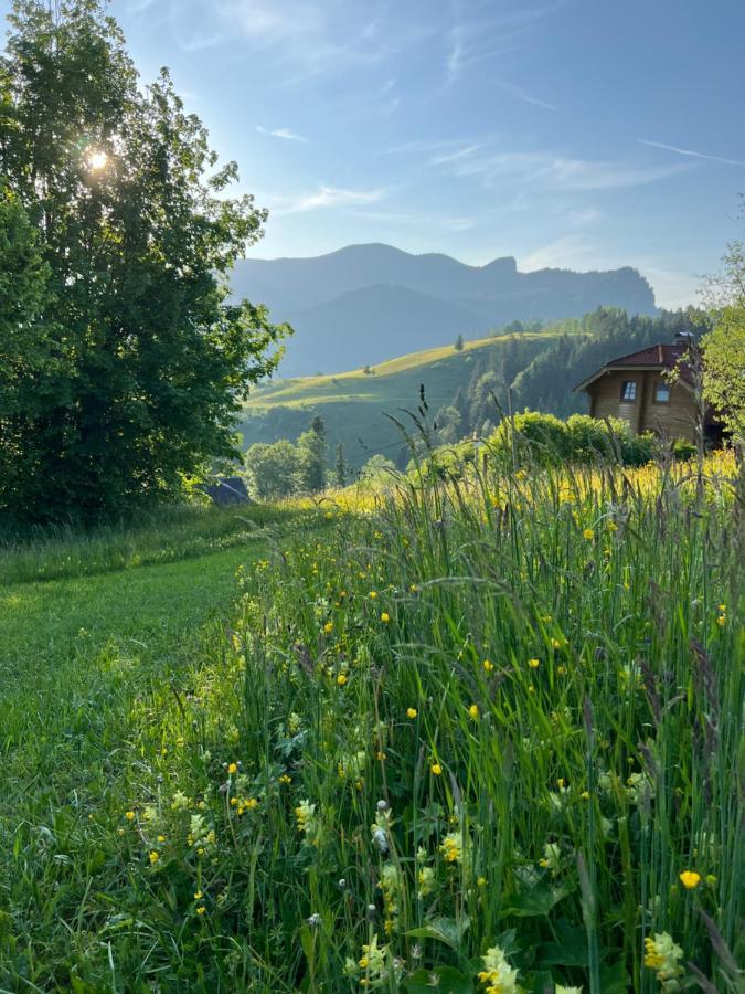 Tauglerei Appartement Enzian In Den Zauberbergen Sankt Koloman Exteriér fotografie